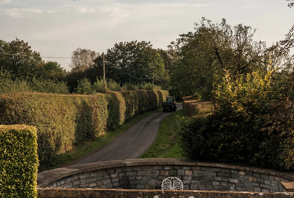 Tractor on its way to a cider apple orchard